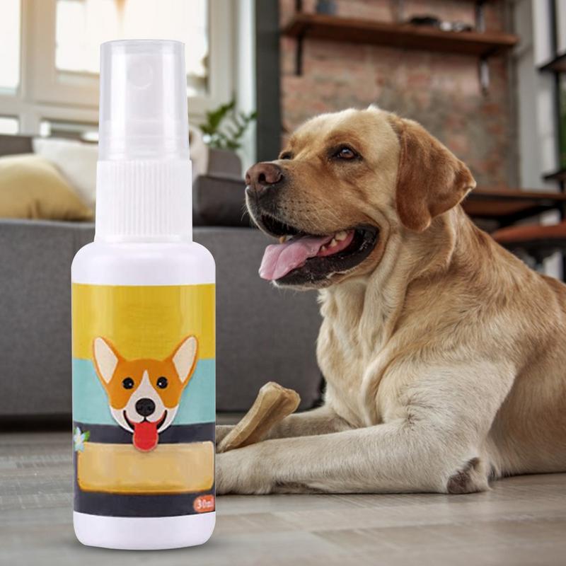 1 Stück Hund Töpfchen Zug Spra – Travel Accessories In Train Bewertung und Preis