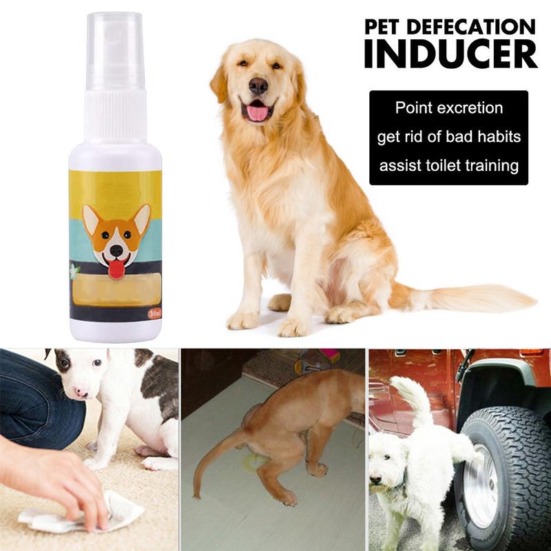 1 Stück Hund Töpfchen Zug Spra – Travel Accessories In Train Bewertung und Preis