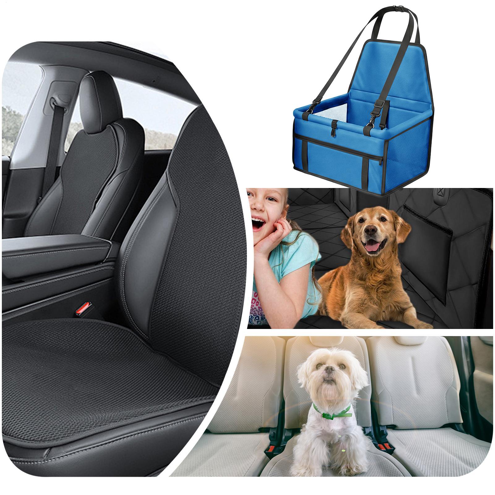 Hunde-Autositz für kleine Hund – Travel Accessories Under 10 Bewertung und Preis