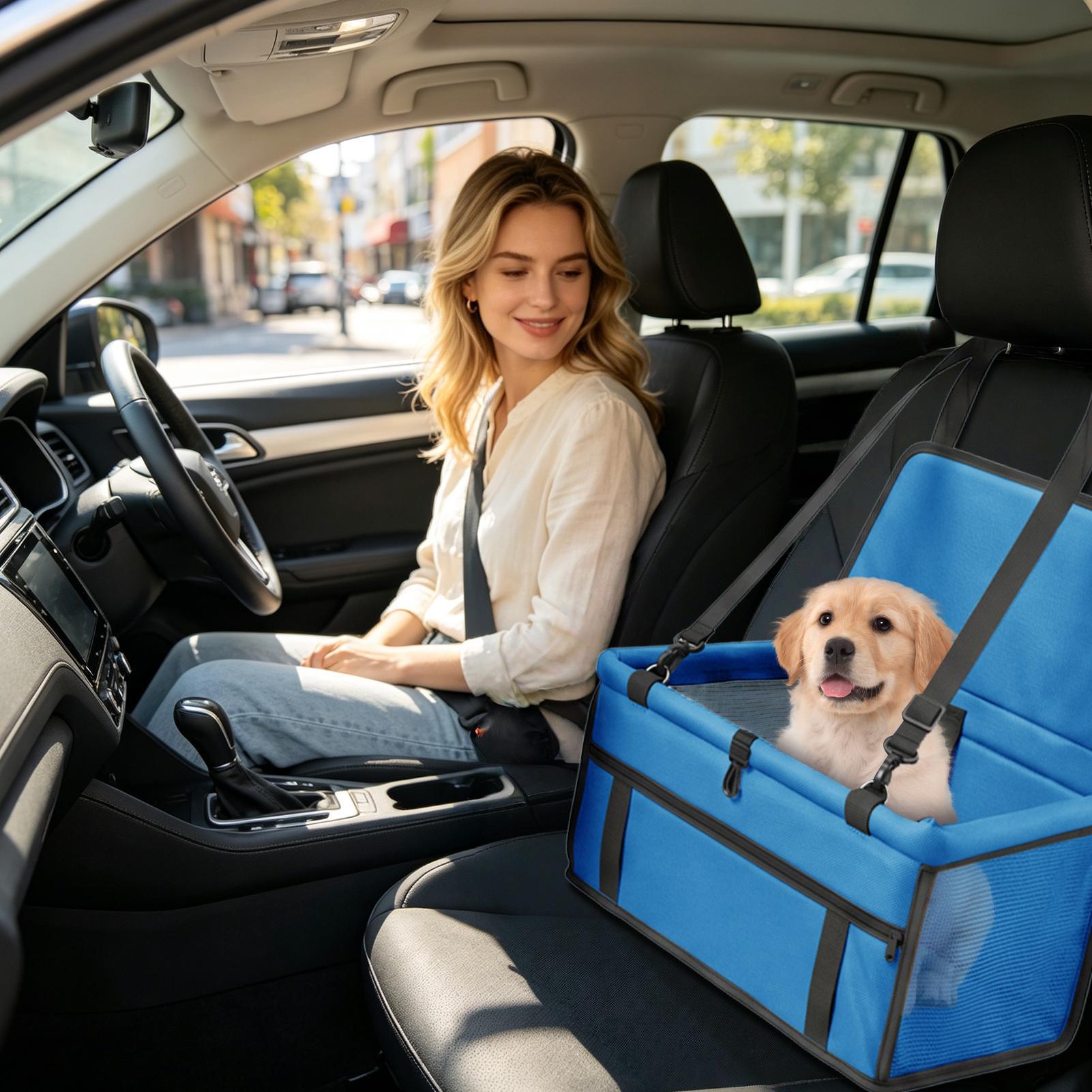 Hunde-Autositz Tragbarer Wasse – Travel Accessories Under 10 Bewertung und Preis