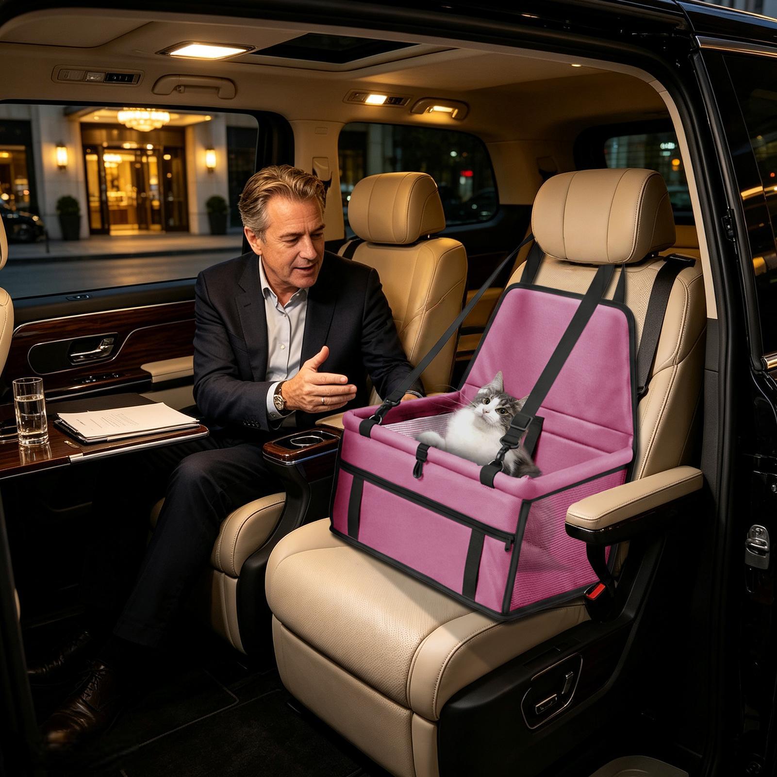 Autositz für Hunde, tragbar, w – Travel Accessories Under 10 Bewertung und Preis